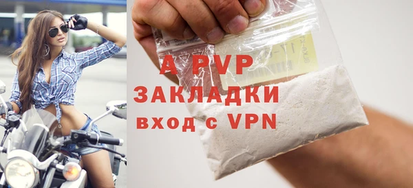 СК Новодвинск