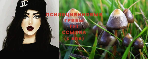 прущая мука Нефтегорск