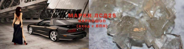 ГАЛЛЮЦИНОГЕННЫЕ ГРИБЫ Нефтекумск