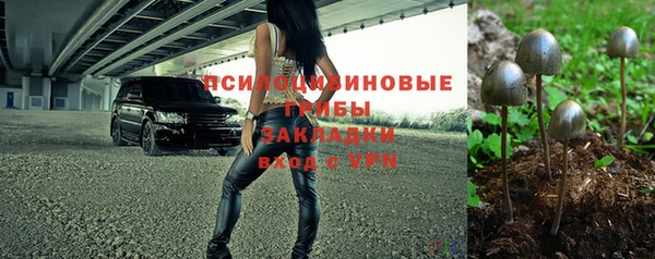 СК Новодвинск