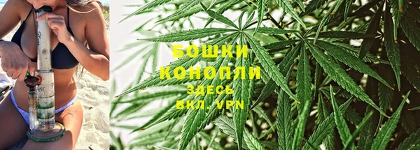 каннабис Новокубанск