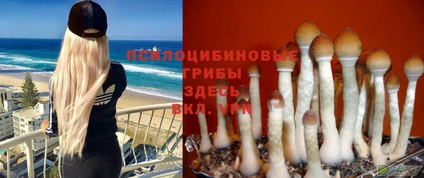 MESCALINE Новозыбков